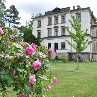 Villa Gückelsberg Park