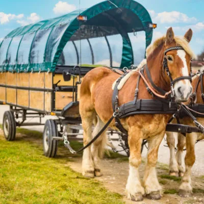 Kremserfahrt Villa Gückelsberg Feiern und Extras Trauung
