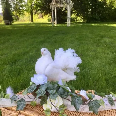 taubenzeremonie Park Tradition Villa Gueckelsberg Hochzeit Hochzeitstauben